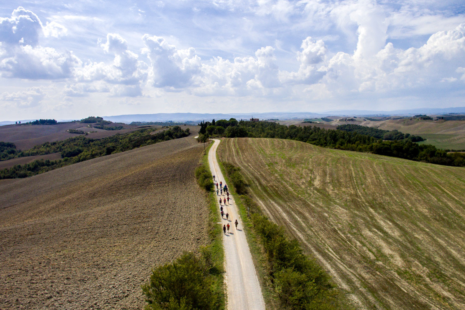 Tuscan paths to discover Valdichiana Senese by foot
