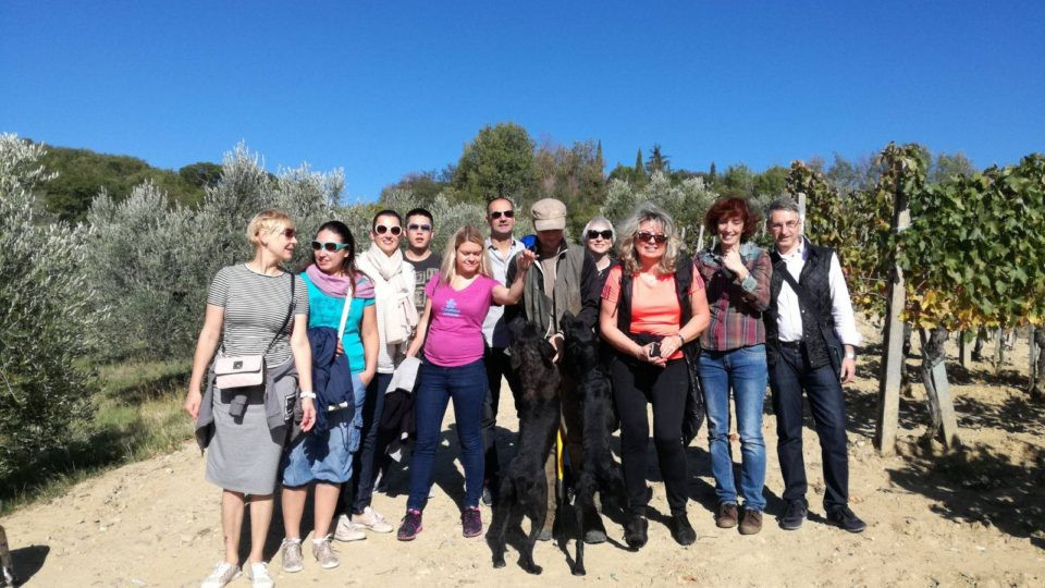 A team-building trip: 5 team experiences in Valdichiana Senese