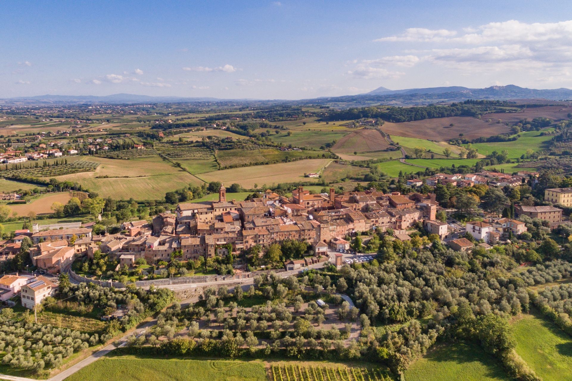 Local ambassador stories: Tommaso Mecarozzi, Torrita di Siena