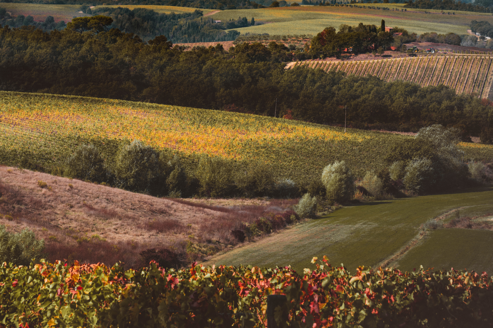 Autumn in Valdichiana Senese as a real local