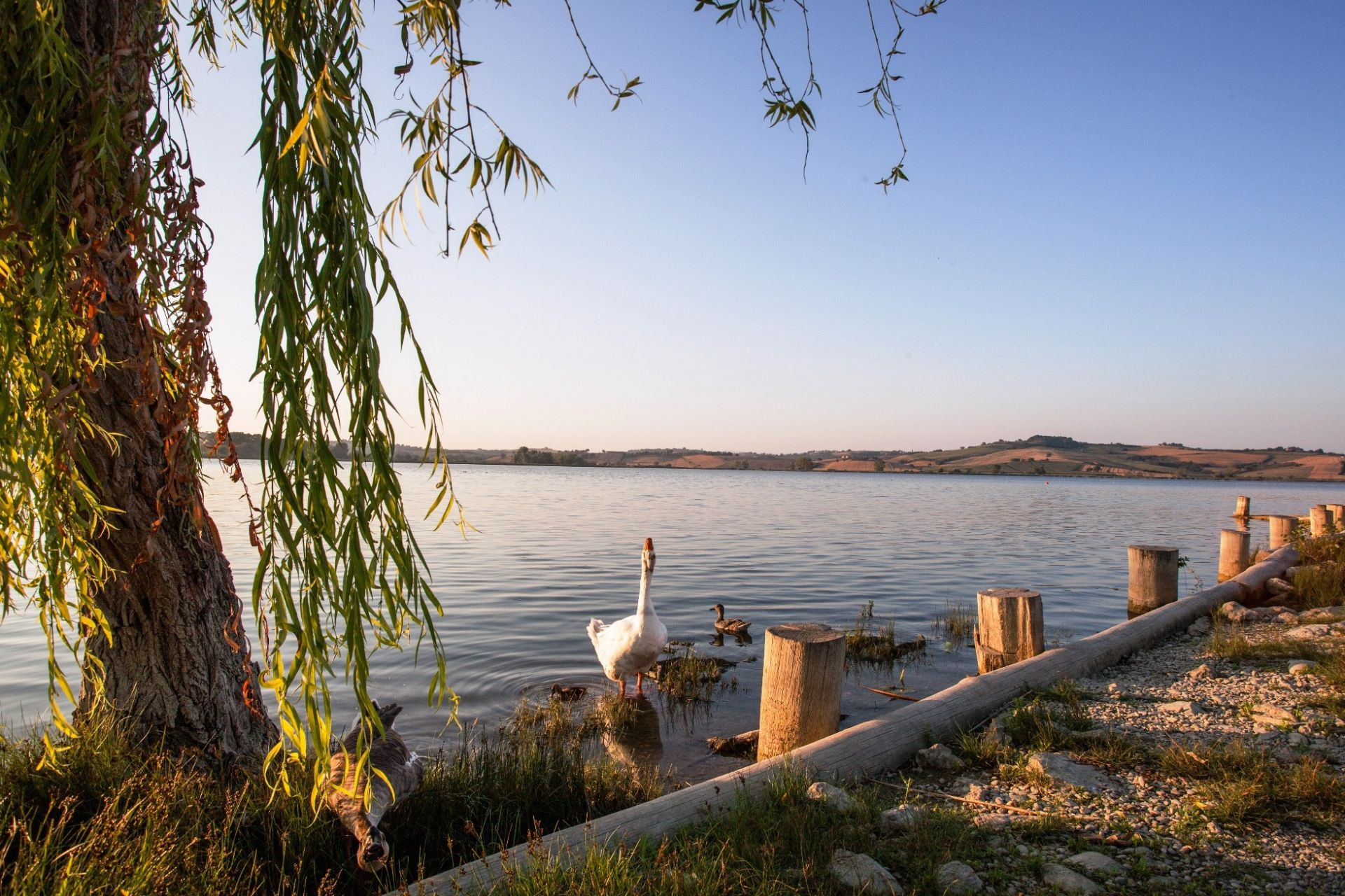 Lago di Chiusi: 5 buoni motivi per visitarlo